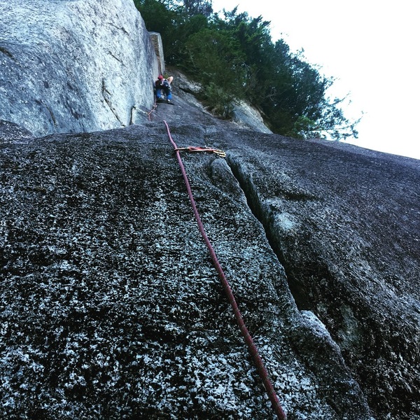 Rose on Lead of the St Vitus direct variation. Don't miss out on this crack, thin but good.