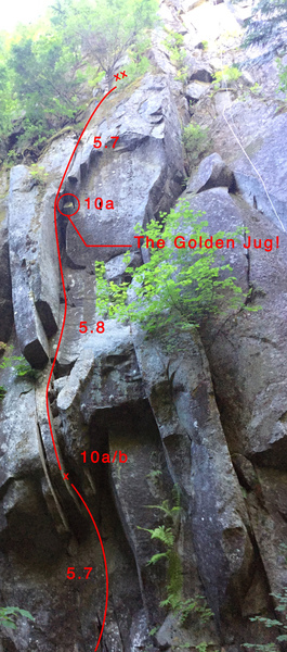 Golden Bucket beta photo