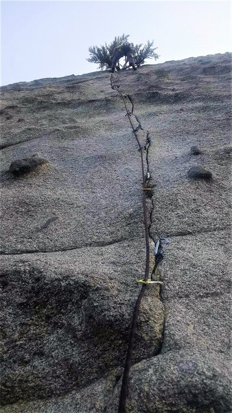 Seems to protect well.