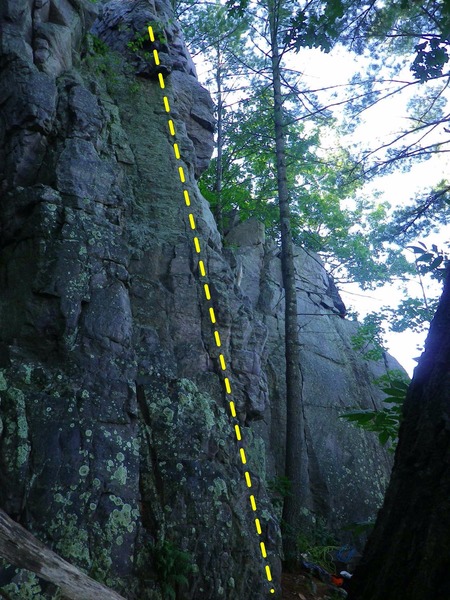 Dead Tree Corner