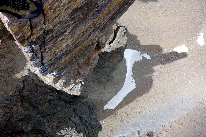 Looking down Cardiac Arete, with rather phallic shadow of Grand Sentinel below.