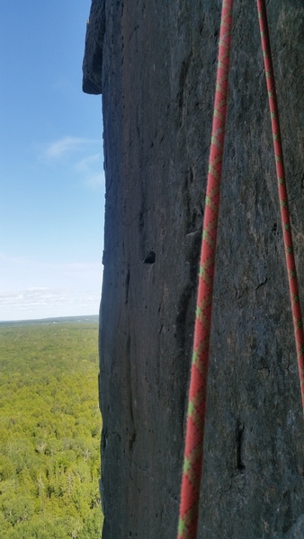 Great views above the trees