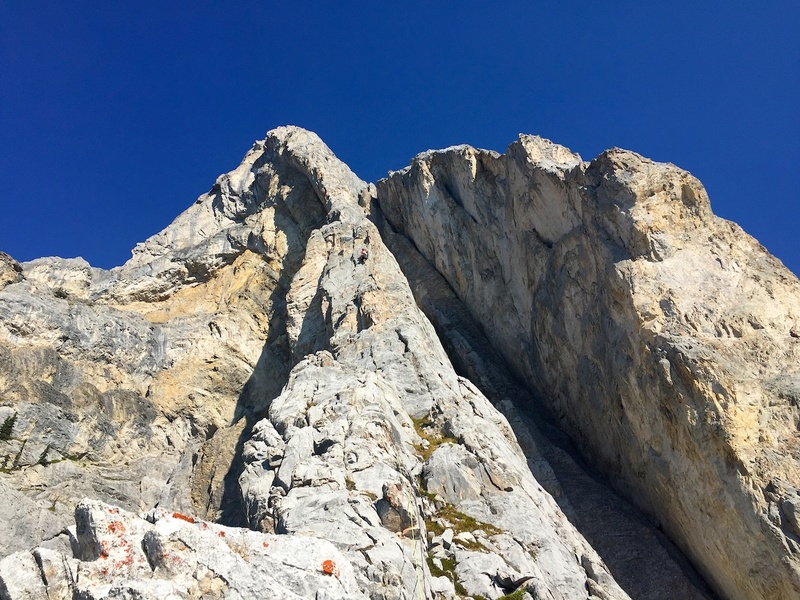 Leader high on Pitch 5.
