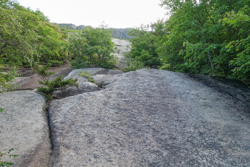 Just below "The Golden Bench". Scramble up (or bushwack on the right) to get there, which is the start of Bore Tide, Duck Diving and Candyland.