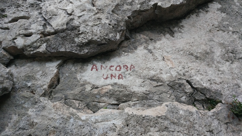 Name painted at base