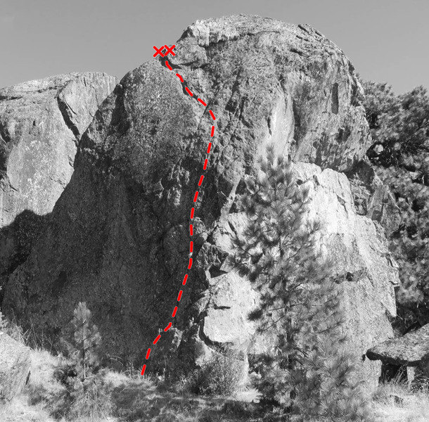 Topo of Why Go Left