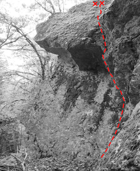 Topo of Caveman