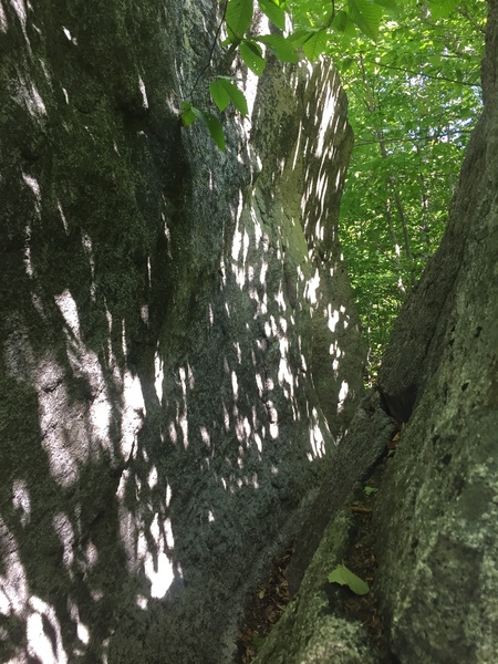 The trail goes through here