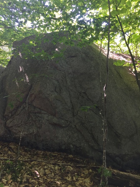 East face