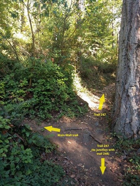 Main wall trail turn from trail 247