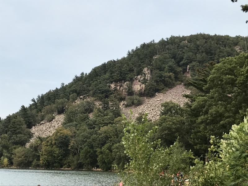 The lone pinnacle in the small clearing to the right of balanced rock wall is this formation.