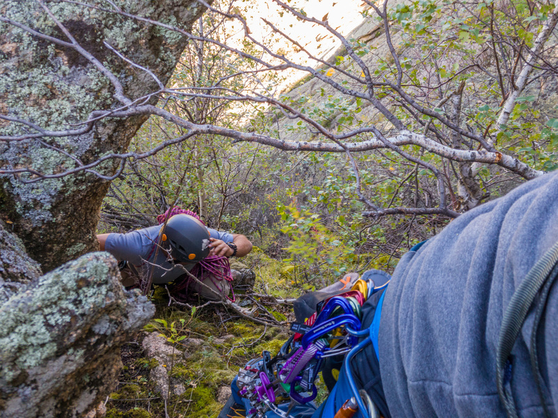 Enjoyable vertical moss and bush climbing