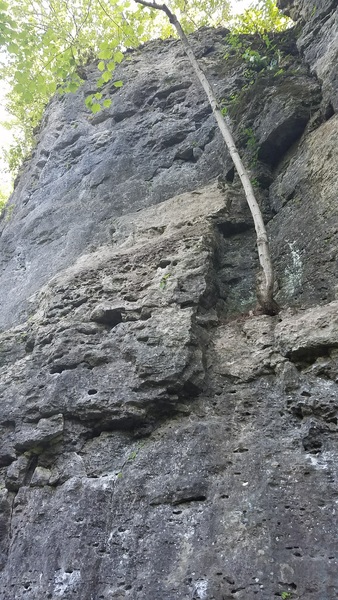 6 Pack (Clear Creek Crag)
