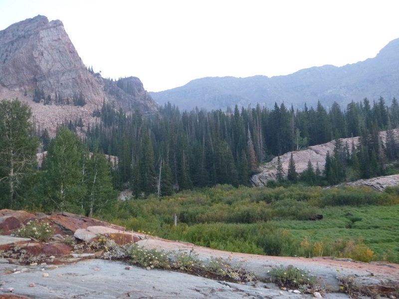 Not the best photo but in the right corner you can see a moose.. !