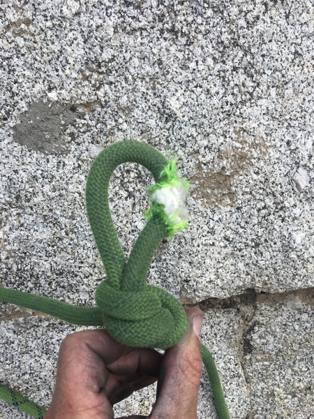We accidently knocked a bread loaf-sized rock off the tree ledge while preparing to rap. My 80m rope paid the price...