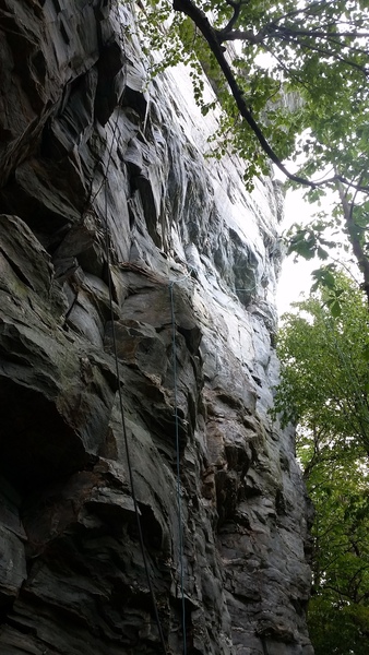 View up the start (blue rope going right and up)