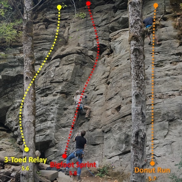 3Toed Relay, Bigfoot Sprint, and Donut Run. First Three routes you see when entering the Waka Beach crag.