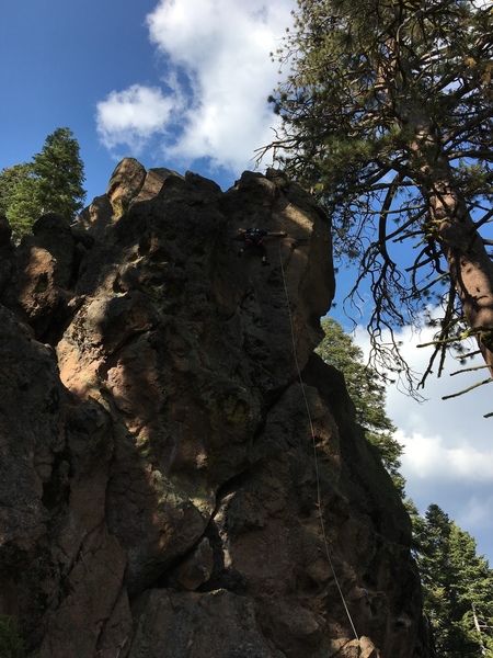 Near the top of Una-Bomber