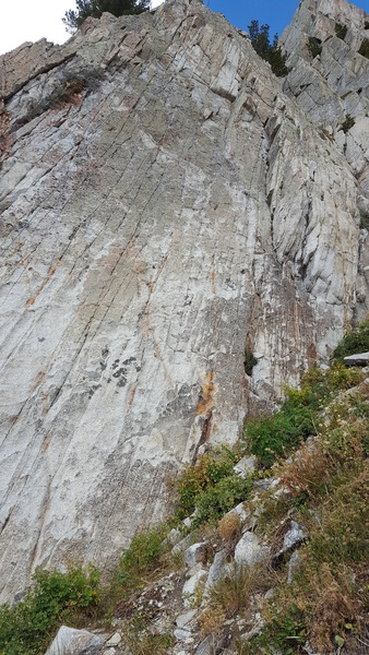 The route.