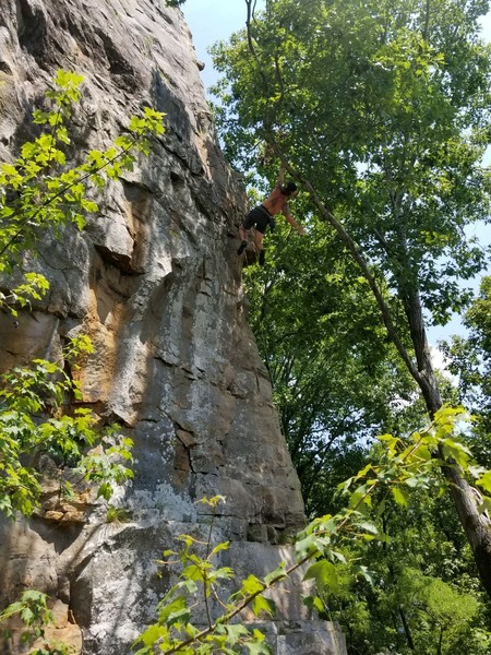 Hanging out at Orange Crush