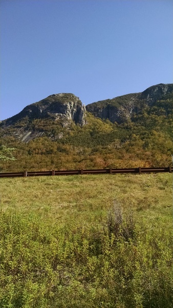 The Eaglet, as seen from the other side of the highway! Zoom in and look at the top center, for a better image...