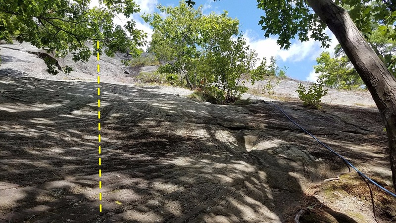 Route starts.... 5.3 Clip a Dee to the left on the open slab... 5.4 Lady and Tramp to the Right (Rope) just to the right of the shrubbery