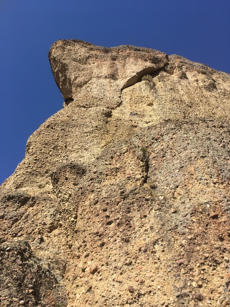 Looking up at the heart!