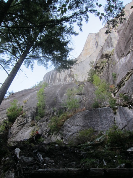 From the base, the first 2-3 pitches are visible
