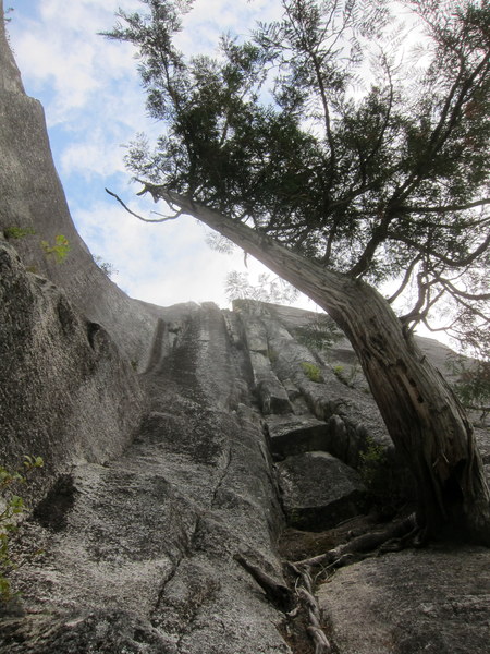 Looking up P3-4