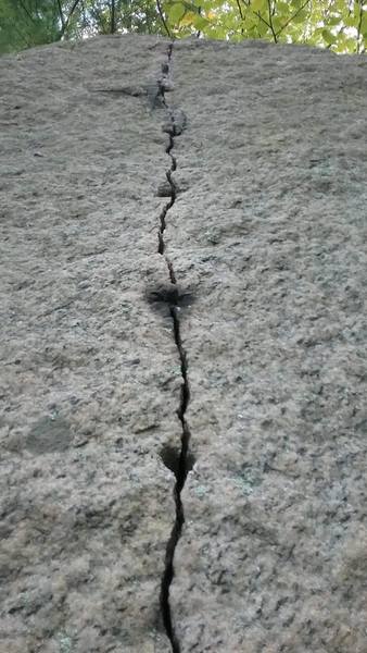 The line.