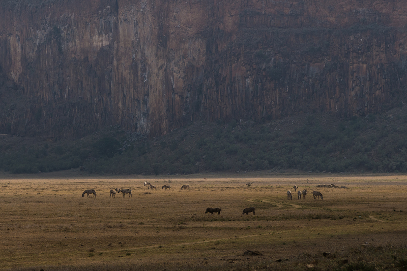 Hell's Gate with the zebras and warthogs roaming around below us
