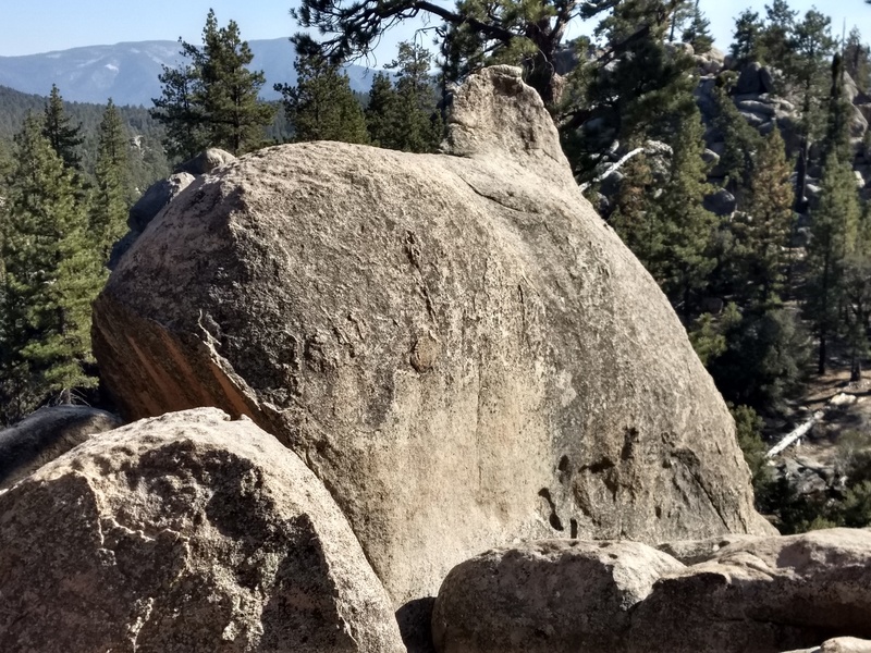 The whale next to the crag points out the way.