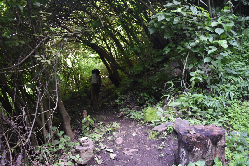 12. At this point you'll make a right turn to keep going up the path. you'll start to see some wooden stairs.