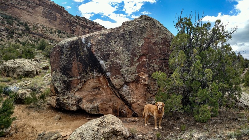 Breakfast Boulder.