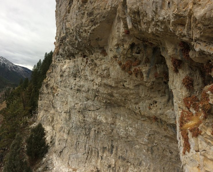 Rock Climbing in The Goat Cave, Jackson Hole