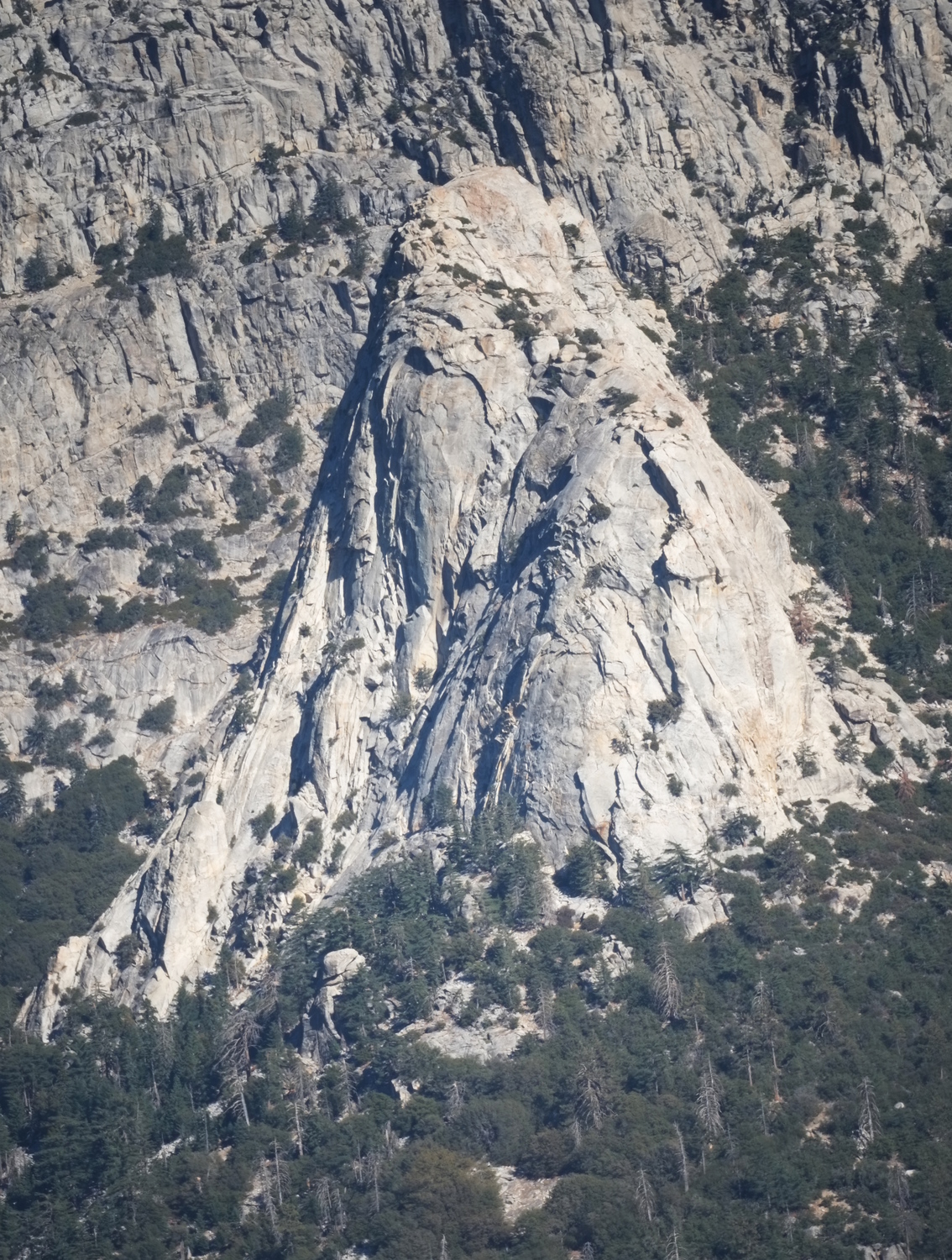 West face of Tahquitz Rock, seen from the highway near Pine Cove.