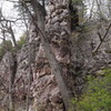 Rickety Rib, south.<br>
Reminiscent of Squirrel's Nest Tower.