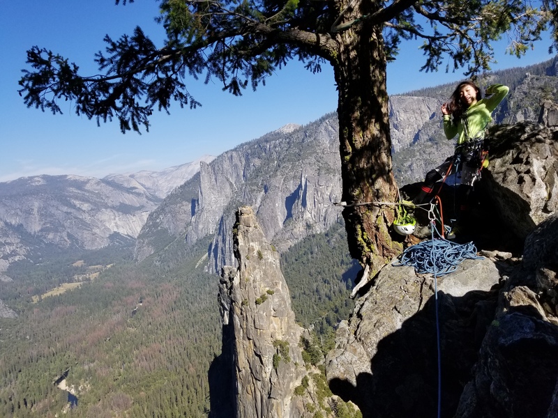 Braille book: top of pitch 5. Trusting that floating tree belay with obviously exposed root structure. At least it's alive.