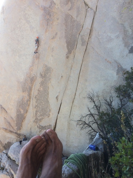 Isiah at the no hands rest ... resting.