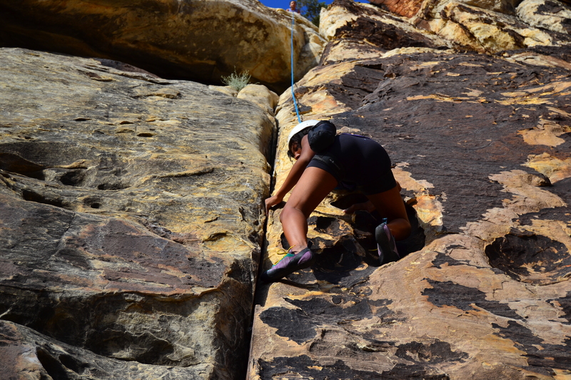 Jasmine on rock for the first time