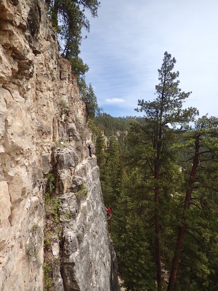 Three quarters of the way up!
