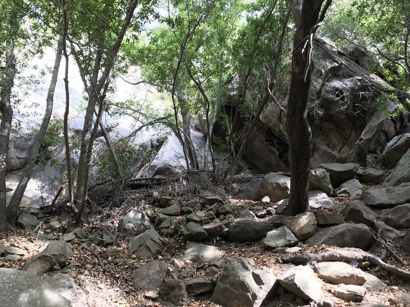 A view of the whole crag. The Sword in the Stone on the far left and Renaissance Man on the right, just past the tree.