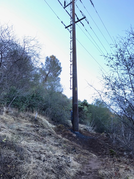 There is a new all steel power pole just up the trail. It has the number 46 on the yellow tag. Go left at the pole.