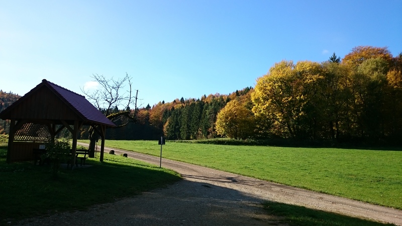 Taken from the parking area. Walk past this picnic table up the road and hang a right into the forest. Take your first left once you're in the trees.