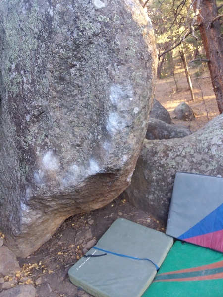 Martini Ranch - V7