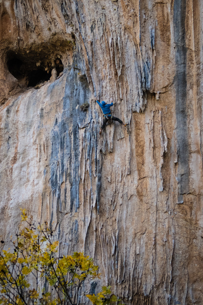 Great tufa tuggin'. November 2017.