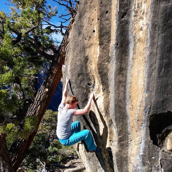 Rachel climbing Shanghai Joe.
