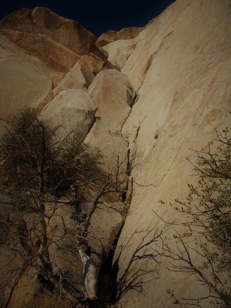 Pitch One (or P1 and P2 per the MP route description) and the P2 (or P3) traverse just above the upper tree