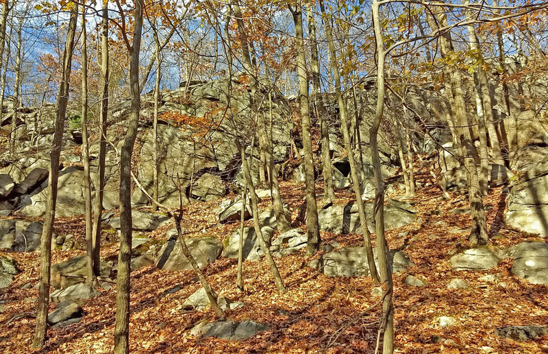 sector Navy Patrol seen looking up north from main Tower Wall tier trail just west from left end of sector Basilisk
