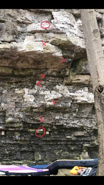 Holds in red.